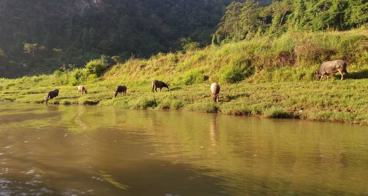 Mild Adventure North Vietnam - Exploring Ba Be National Park 10 Days/9 Nights - Ideal Travel Asia 3