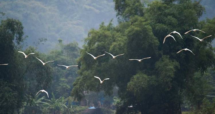 Mild Adventure North Vietnam - Exploring Ba Be National Park 10 Days/9 Nights - Ideal Travel Asia 6