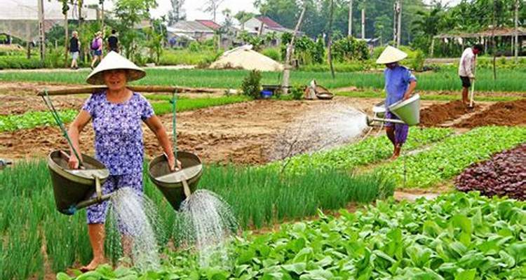 Mild Adventure North - Overnight Traing & Trekking at Sapa 10 Days/9 Nights - Ideal Travel Asia 6