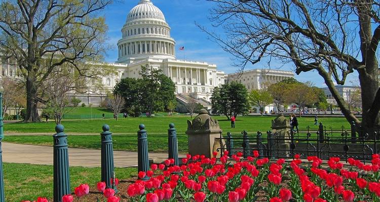 Spotlight on Washington, D.C. Exploring America's Capital (2025) - Collette 1