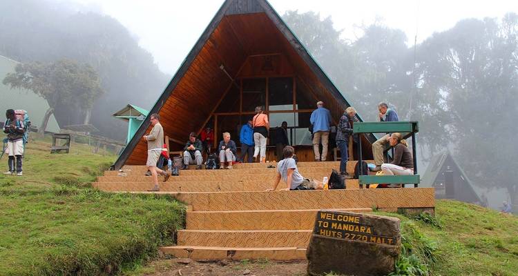 Safari Privado de 4 Días Gama Media: Excursión de un día a Tarangire, Ngorongoro y Kilimanjaro - African Polecat Safaris 2