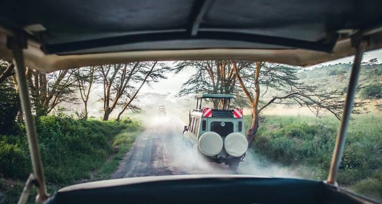 Voertuigen die rijden over een weg omringd door bomen.