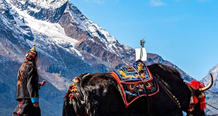 don't be slow! our prices are best. 11 nights 12 days nepal bhutan tour 2024-2026 - Bhutan Travel Gate 10