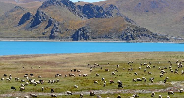 TIBET : Kompakt - Lhassa, Mt. Everest, Namtso See - Sans visa ! - MOSKITO Adventures 7