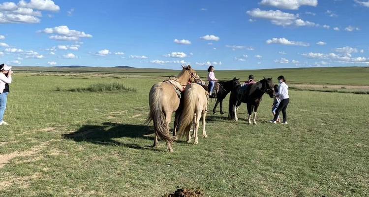 Mongolia Interior 5 Días Hohhot Explorar Tour - Silk Road Trips 2