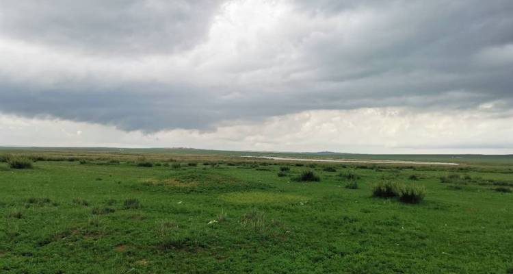 Mongolia Interior 5 Días Hohhot Explorar Tour - Silk Road Trips 9