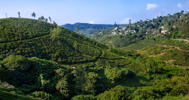 Découvrir le Kerala - Révéler les trésors du sud de l'Inde - Just You 3