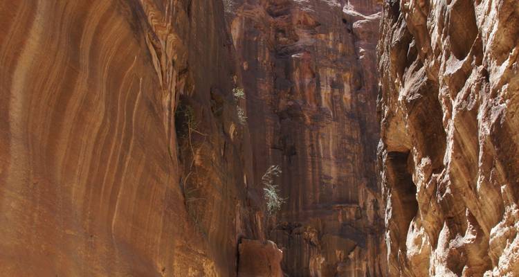 Enge Schluchtpassage, die nach Petra führt.