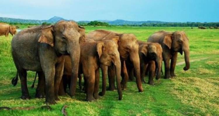 North & East Highlights - Mango Vacations 10