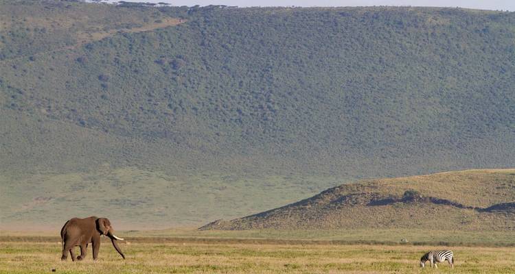 6-Days Private Luxury Safari: Tarangire, Serengeti, Ngorongoro Crater - African Polecat Safaris 8