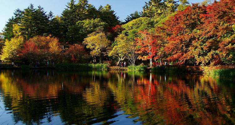 14 Días Un Viaje Cultural Familiar por Japón con Niños (guía y conductor privados） - UME Travel Co. Ltd 3