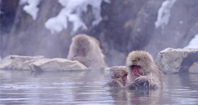 14 Días Un Viaje Cultural Familiar por Japón con Niños (guía y conductor privados） - UME Travel Co. Ltd 7
