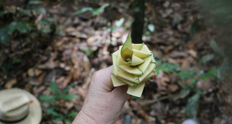 Expérience de survie en Amazonie - Nattrip 3
