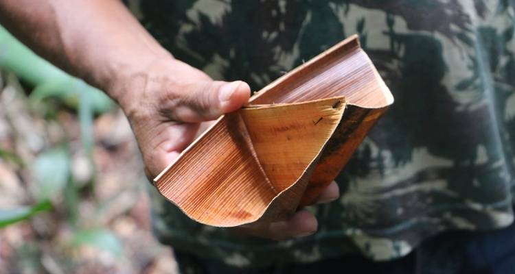Expérience de survie en Amazonie - Nattrip 10
