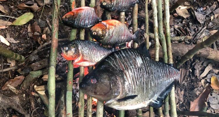 Trekking en Amazonie - Nattrip 1