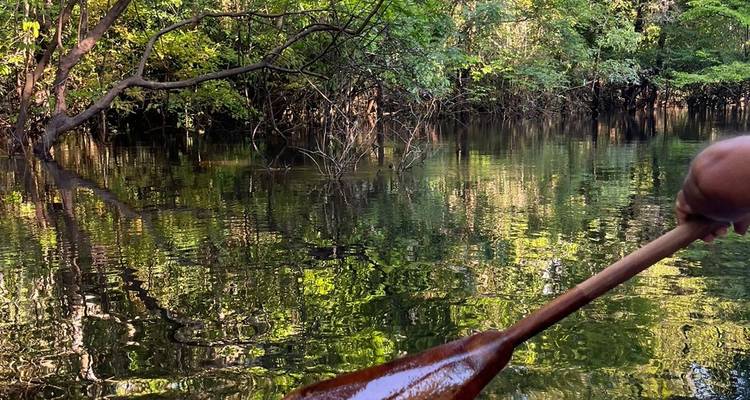 Trekking en Amazonie - Nattrip 4