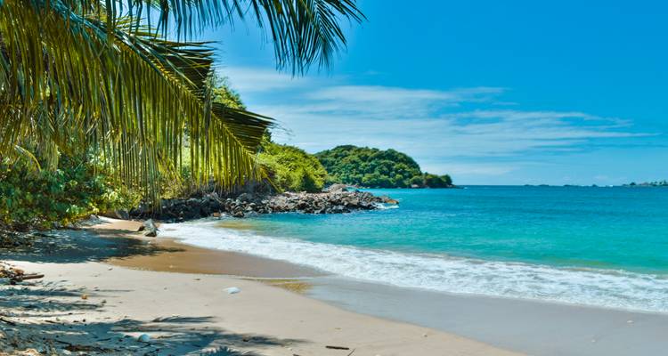 Sri Lanka de cerca: El libro de la selva y aventuras en la isla - journaway 10