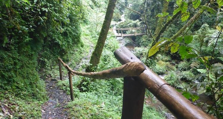 Uganda and Rwanda Hiking and Safari - DIAMIR Erlebnisreisen 4