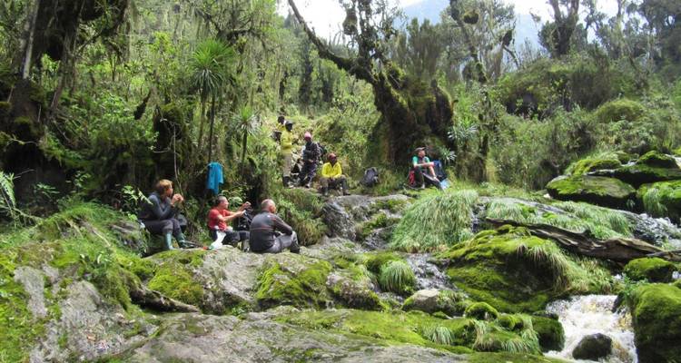 Uganda and Rwanda Hiking and Safari - DIAMIR Erlebnisreisen 3
