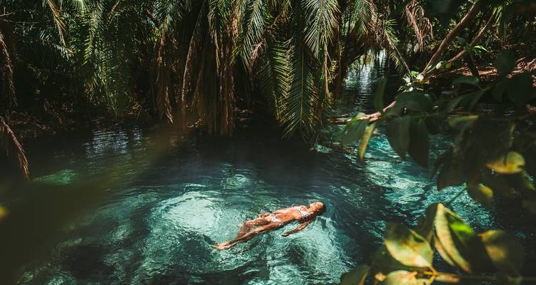 1-Day Private Kikuletwa Hotspring (Maji Moto) - African Polecat Safaris 4