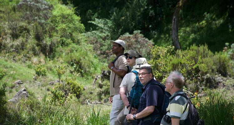1-Day Private Materuni Village, Waterfalls - African Polecat Safaris 2