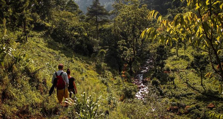 1-Day Private Materuni Village, Waterfalls - African Polecat Safaris 3
