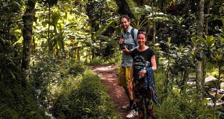 1-Day Private Materuni Village, Waterfalls - African Polecat Safaris 4