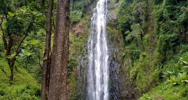 1-Day Private Materuni Village, Waterfalls - African Polecat Safaris 7