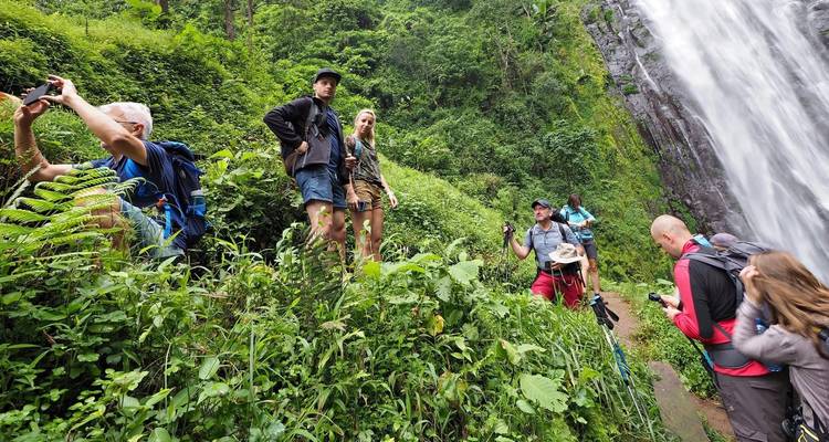 1-Day Private Materuni Village, Waterfalls - African Polecat Safaris 10