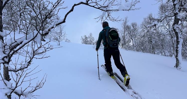 SKI DANS LE FJORD EN NORVÈGE ET AURORES BORÉALES À TROMSØ - 7 JOURS - Outdoor Norway 4
