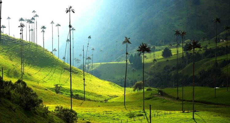 8-Day Colombia Luxury Tour - Rebecca Adventure Travel 2