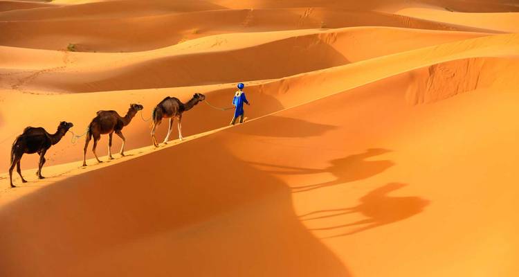 Une personne guidant des chameaux à travers le désert.