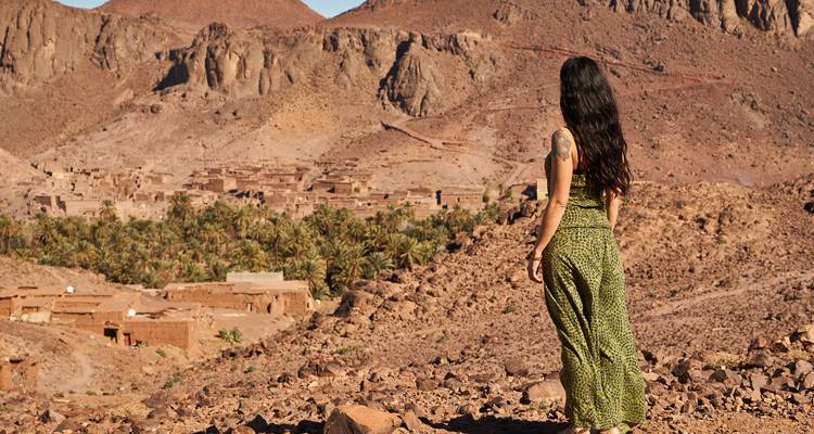 Mujer observando un paisaje desértico con montañas y un oasis.