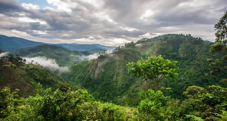 Ouganda : circuit de groupe 14 jours - Klueger Reisen 3