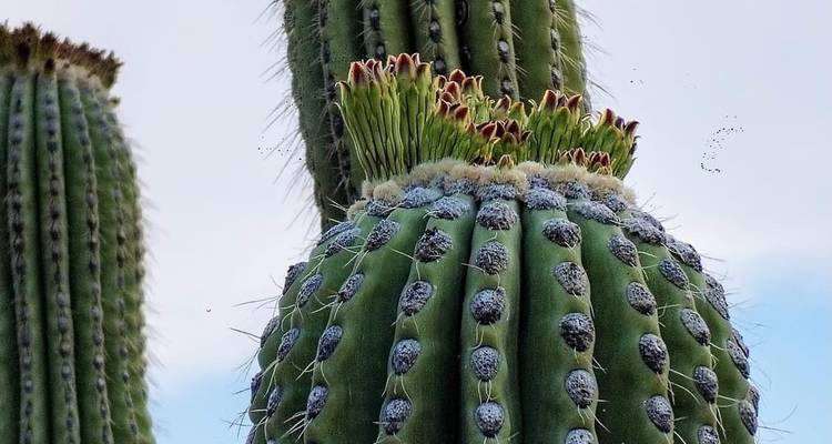 Maravillas del Sur de México, Edición para Mochileros - LUPITA OVERLAND 10