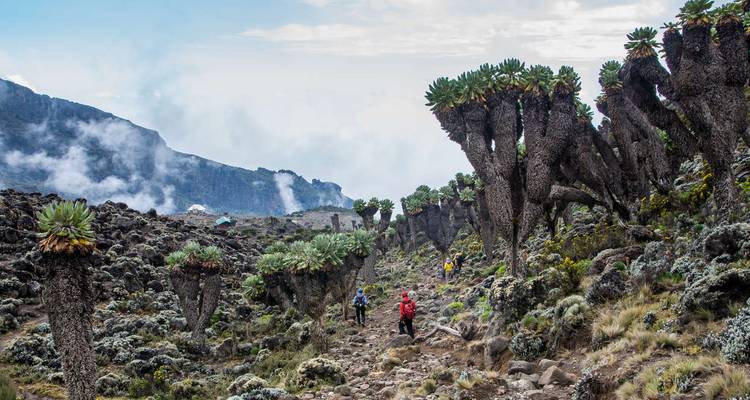 Kilimanjaro - Rongai Trek - Explore! 7