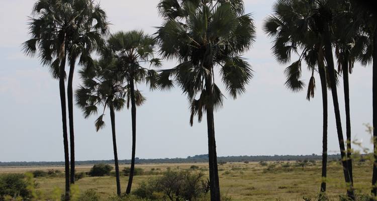 Explorez Etosha, Swakopmund et Sossusvlei en 6 jours | Camping privé guidé - Motema Tours and Safaris 6