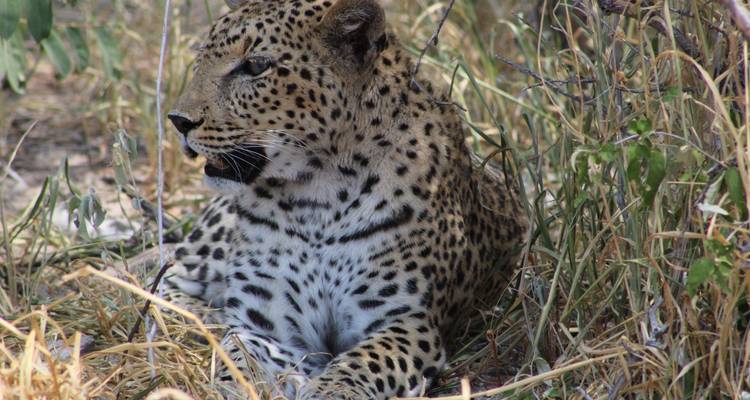 Explorez Etosha, Swakopmund et Sossusvlei en 6 jours | Camping privé guidé - Motema Tours and Safaris 9