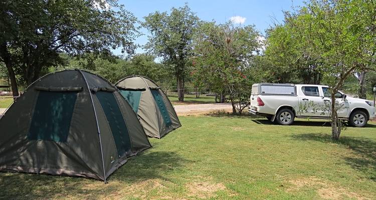 Camping site with tents and a pickup under trees.