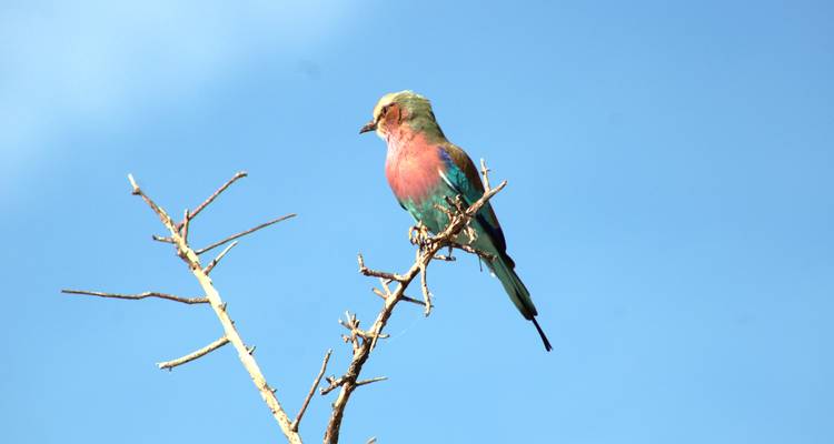 6 Days Safaris in Namibia | Private Guided Lodge - Motema Tours and Safaris 8