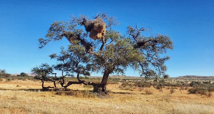6 Days Safaris in Namibia | Private Guided Lodge - Motema Tours and Safaris 10