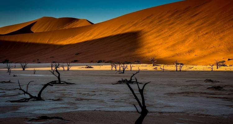 Lo mejor de Namibia en 7 días | Auto Circuito Camping - Motema Tours and Safaris 4