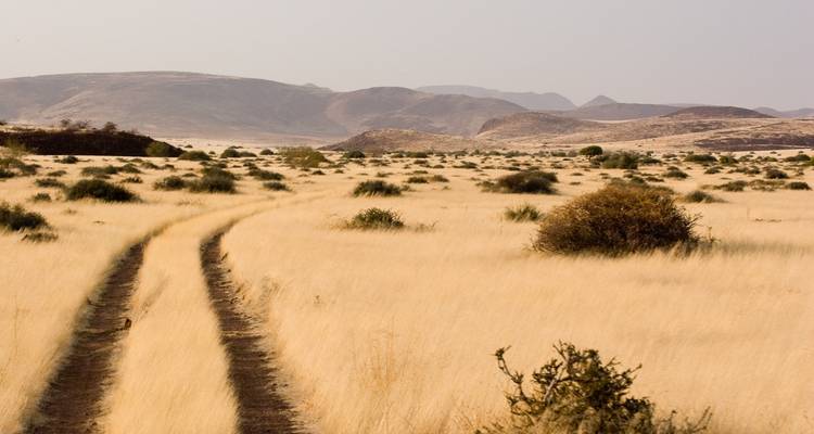 Lo mejor de Namibia en 7 días | Auto Circuito Camping - Motema Tours and Safaris 8