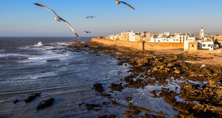 Les mouettes planent au-dessus d'un littoral atlantique escarpé tandis que les remparts blanchis à la chaux d'Essaouira brillent dans la lumière de fin de journée.