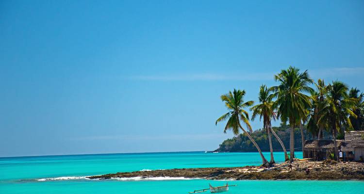 Turquoise ocean with palm trees on the shore.