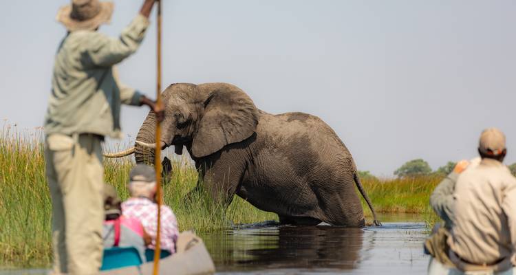 Elephant in a river with people in canoes nearby.
