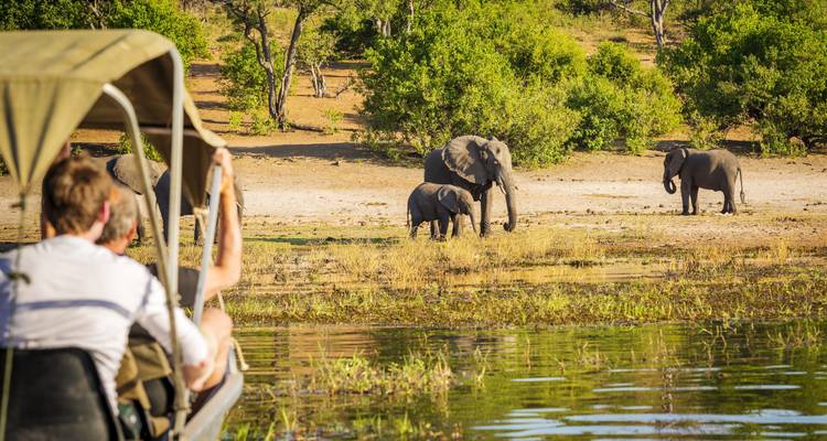 Tourist boat on a river observing elephants.