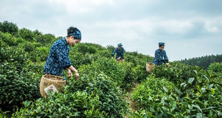 13 Días Aventura China Oriental y Montaña Amarilla en familia (guía y conductor privados） - UME Travel Co. Ltd 10