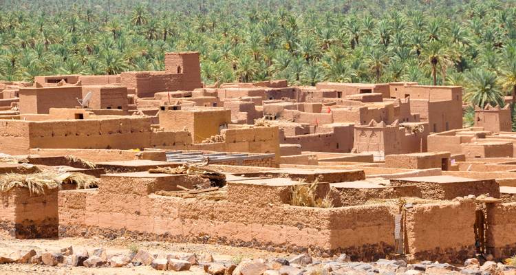 A view of a traditional village made of earthen buildings near palm trees.