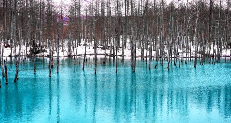 【Japan】Hokkaido 7 Days Noboribetsu, Asahikawa, Biei Package - Delightful Travel 10